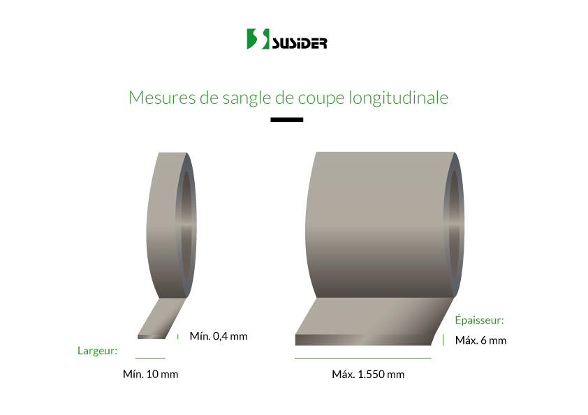 Coupe longitudinale sangle